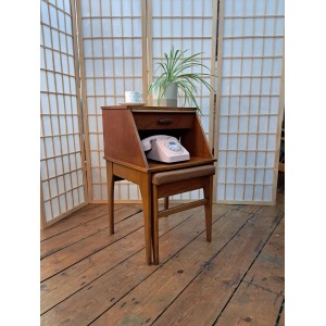 Super Cute and Handy Chippy telephone table!