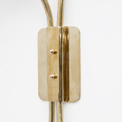 Pair of Tulips Murano Glass and Brass Sconces - Image 11