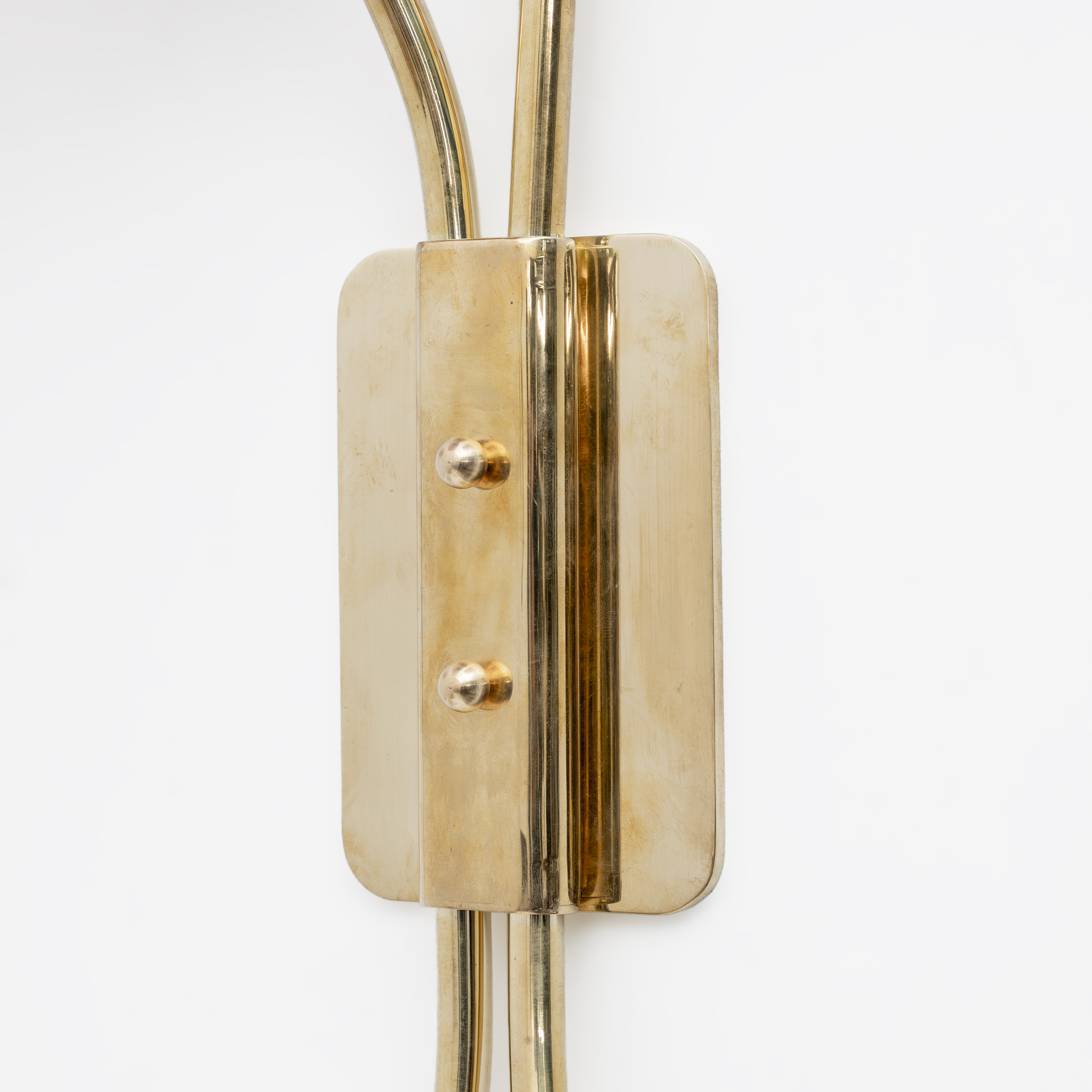 Pair of Tulips Murano Glass and Brass Sconces