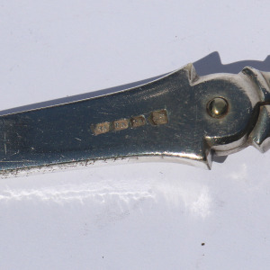 Pair of antique silver plate novelty bamboo handled Grape Scissor Shears C.19thC