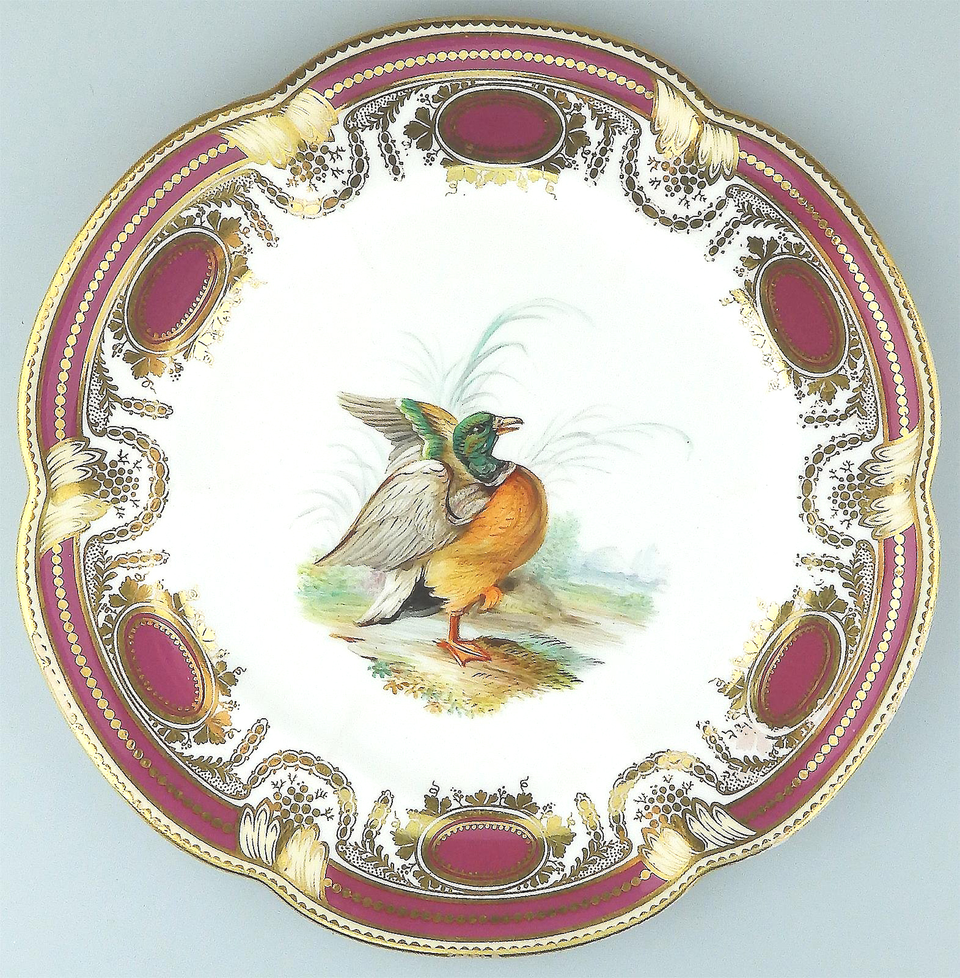 An antique Colebrookdale Coalport porcelain John Rose Cabinet Plate C.19thC