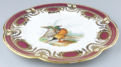 An antique Colebrookdale Coalport porcelain John Rose Cabinet Plate C.19thC - Image 3