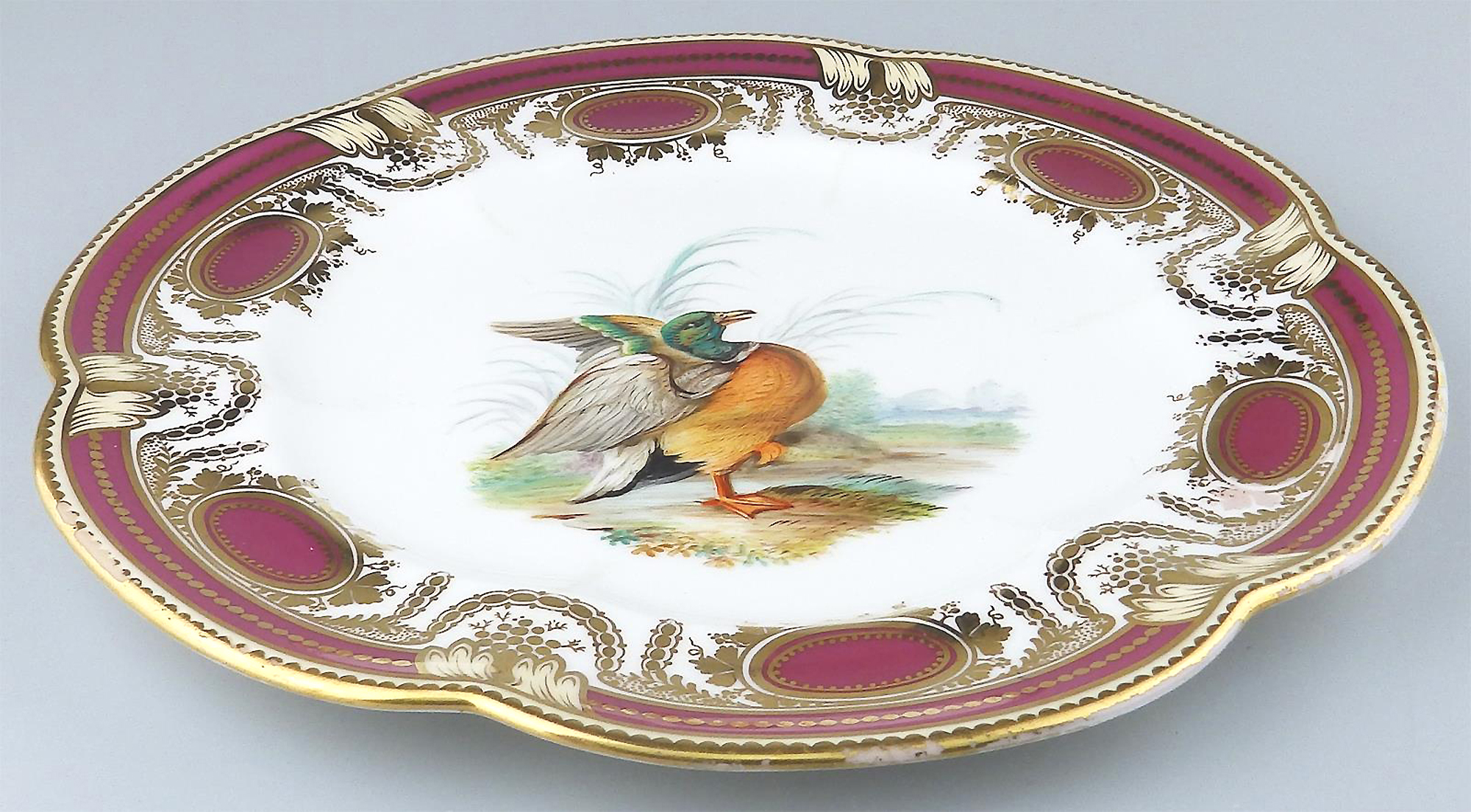 An antique Colebrookdale Coalport porcelain John Rose Cabinet Plate C.19thC