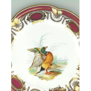 An antique Colebrookdale Coalport porcelain John Rose Cabinet Plate C.19thC