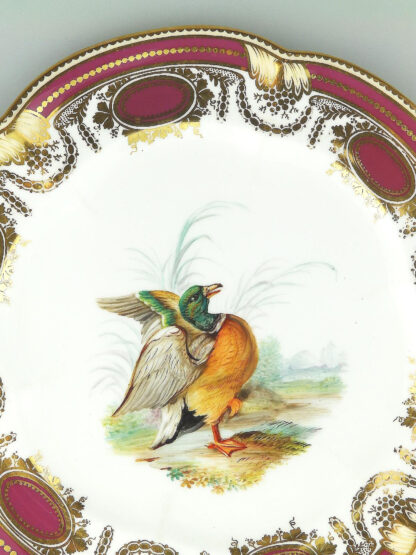 An antique Colebrookdale Coalport porcelain John Rose Cabinet Plate C.19thC - Image 4