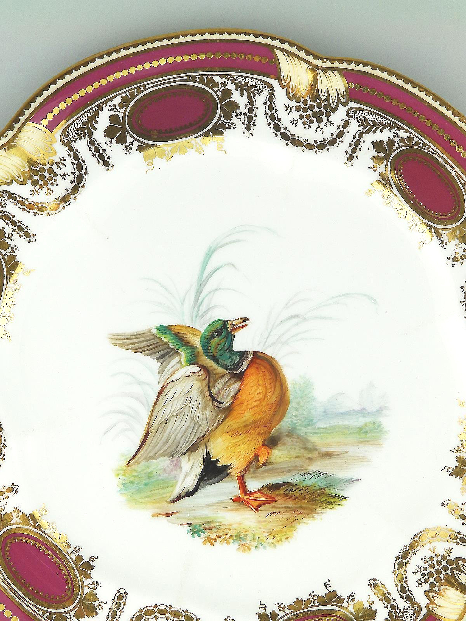 An antique Colebrookdale Coalport porcelain John Rose Cabinet Plate C.19thC