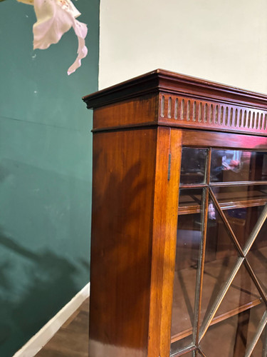 Edwardian Mahogany Astral Glazed Bookcase / Display Cabinet