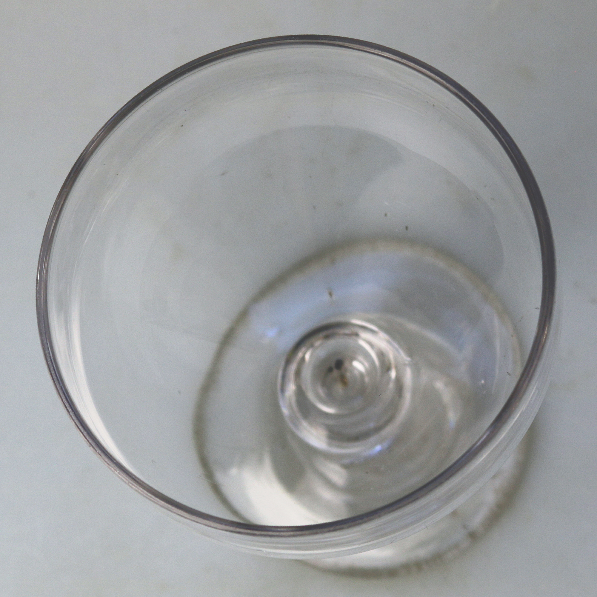 An antique stemware blade stem glass Rummer Goblet / Wine Glass C.19thC
